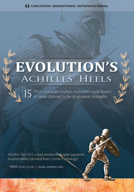 A Woman's Guide to Achilles' Heel: Prevention & Cure